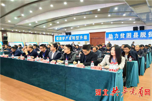 发展驴产业脱贫,阳原小毛驴生产