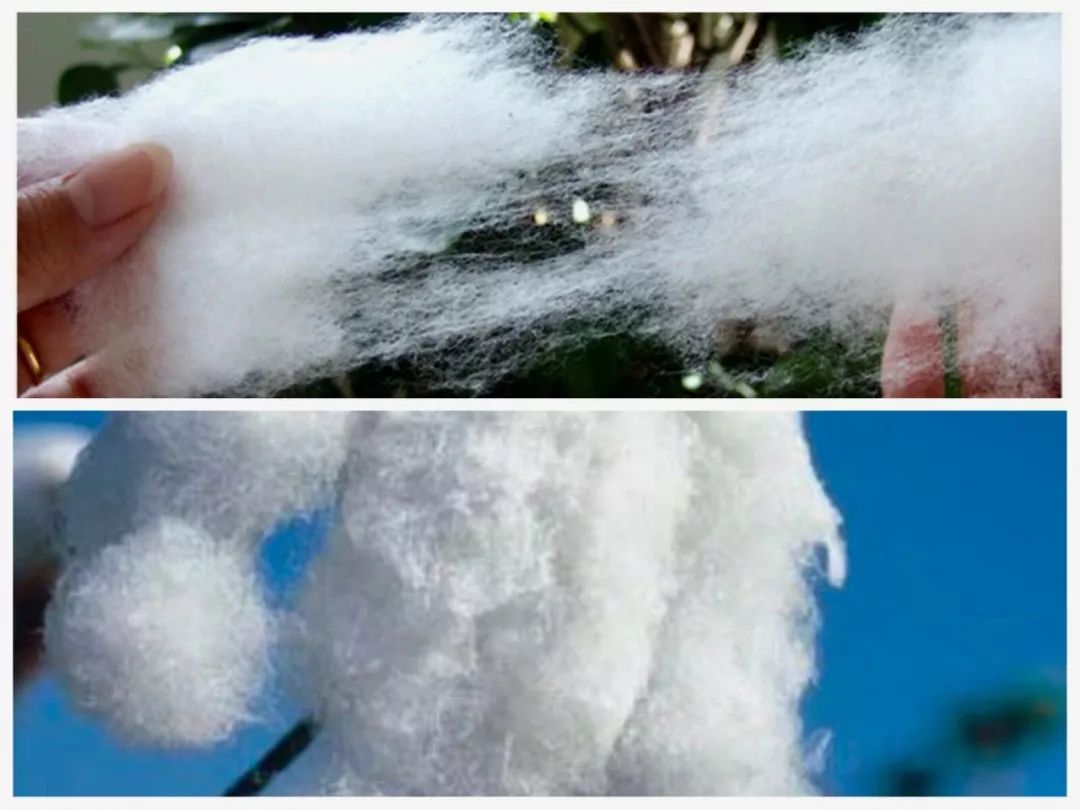 冬夜里想睡个好觉，用它就对了