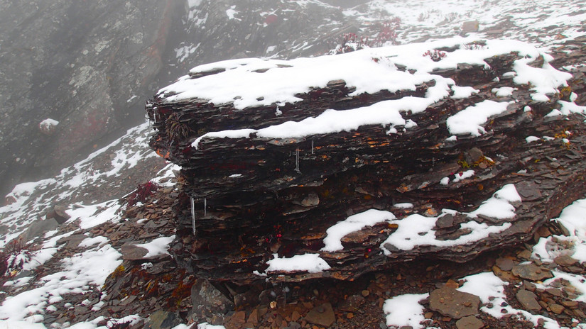 留下的是辉煌带走的是荒凉,带走的是经历留下的是回忆