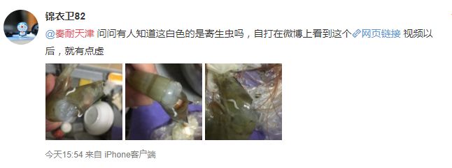 虾背有白线是寄生虫吗,虾头里的白线是寄生虫吗