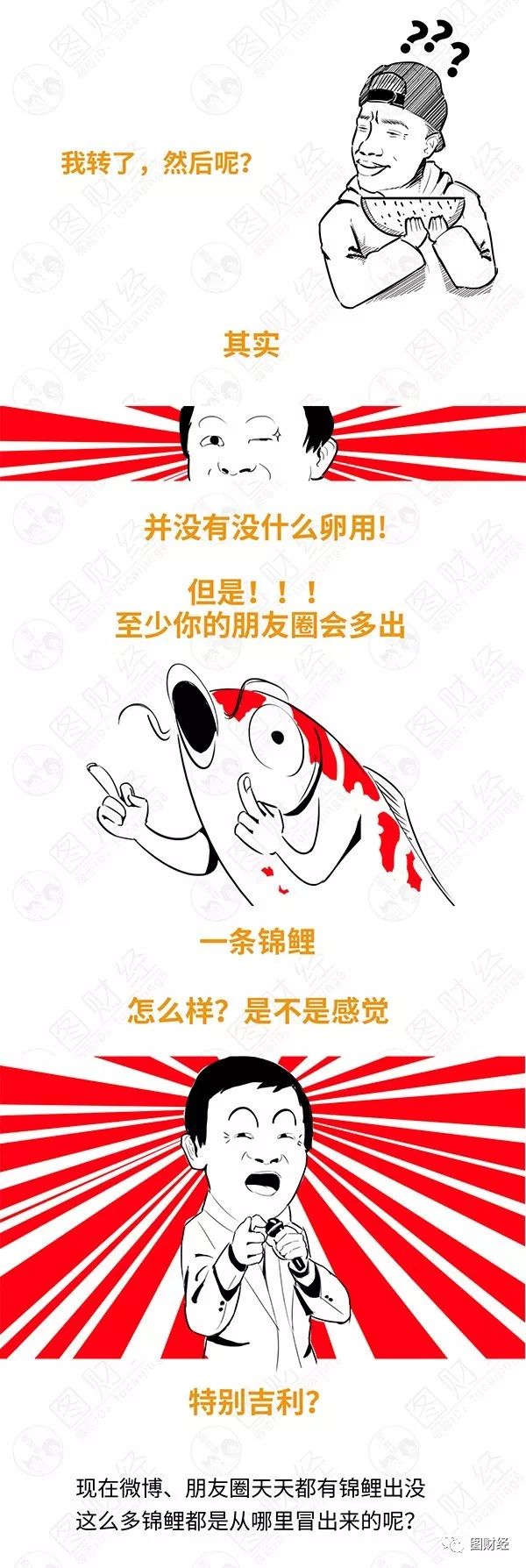 大棚养殖锦鲤,宜兴锦鲤养殖