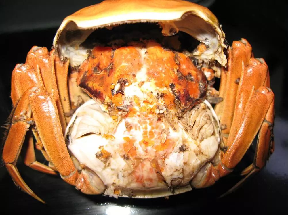 洪湖蟹最新消息,湖北日报中国龙虾第一县