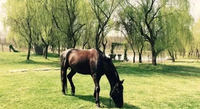 松江区比较好的酒店,上海松江高档温泉酒店