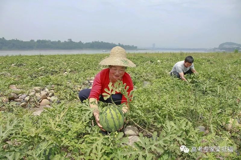 老梁讲有出息的小孩,老梁讲孩子不想学习该怎么办