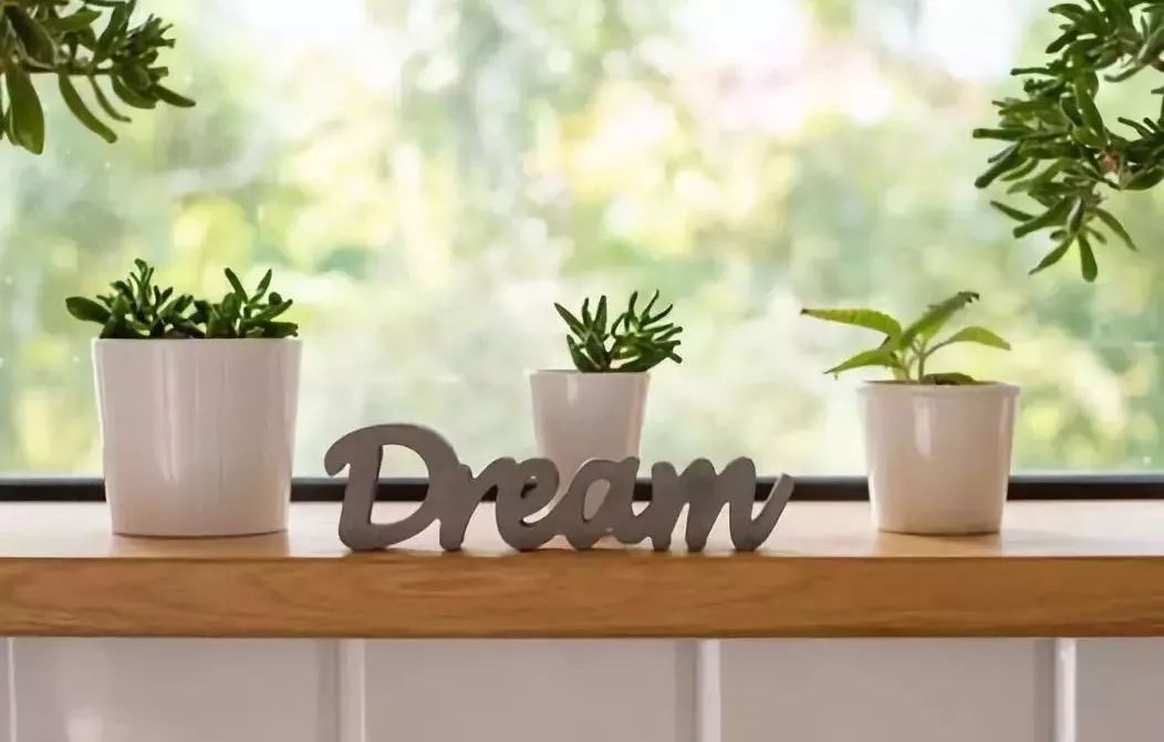 知乎高赞惊艳的教育方式,知乎高赞40个问答