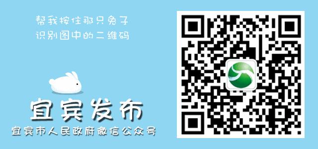 最新宜宾公交优惠政策,宜宾到成都出行政策