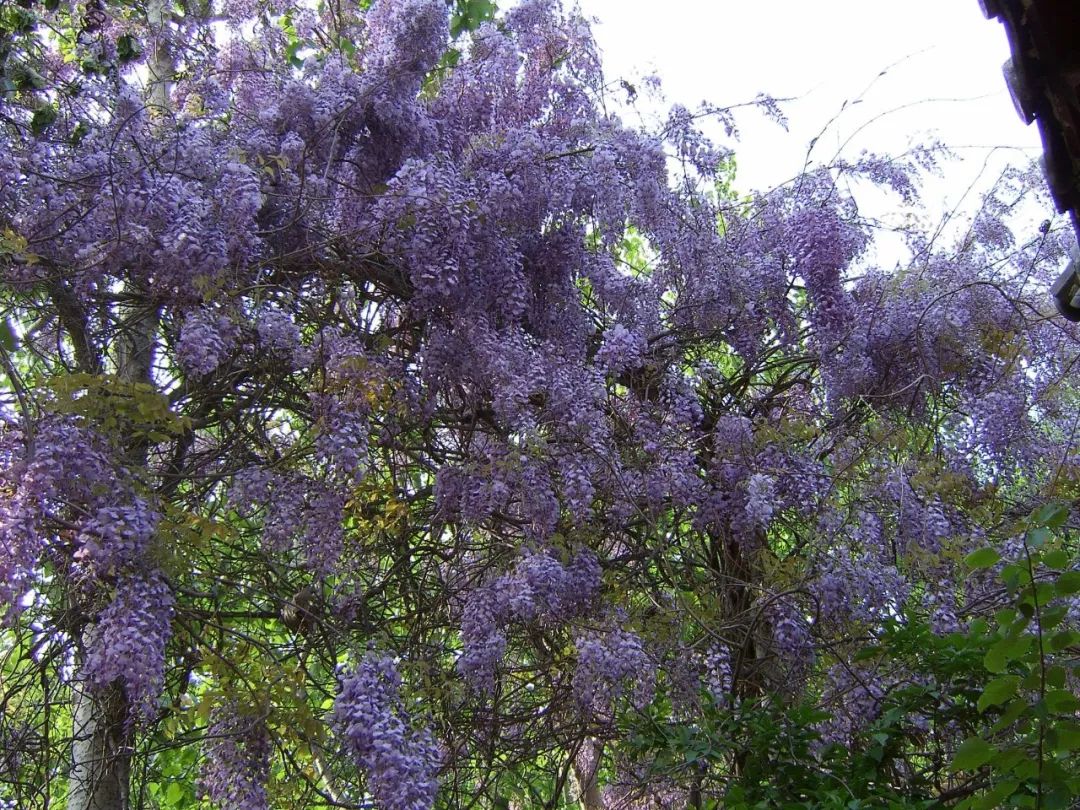 宁阳景区推荐,宁阳八大景区都有哪些
