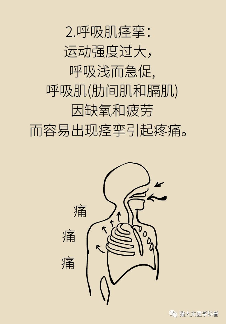 后背岔气疼怎么回事,老是岔气的疼怎么回事