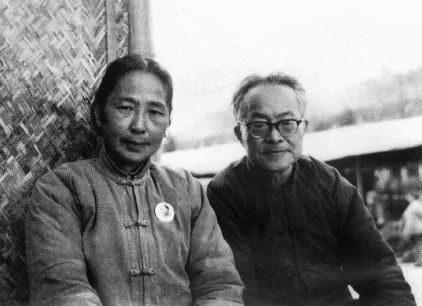 最意难平的文学作品,沈从文阅读推荐