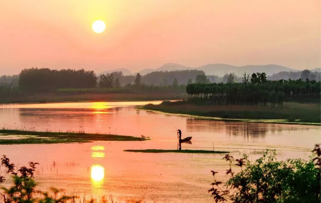 徐州秋景哪个地方最好看,徐州周边赏秋景的地方