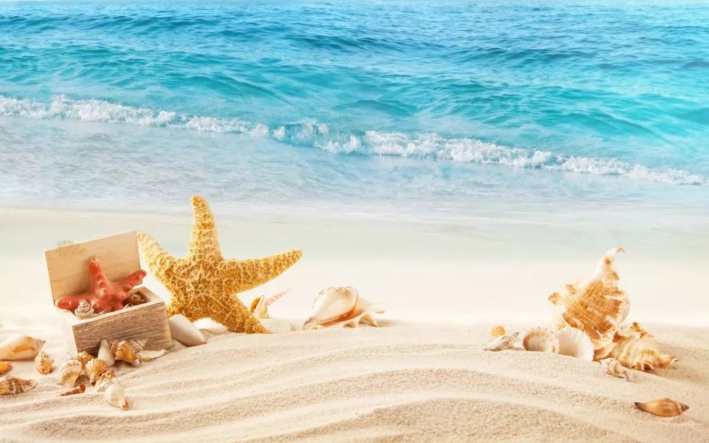 双十一怎么买才最划算,双十一买这些才是真省钱