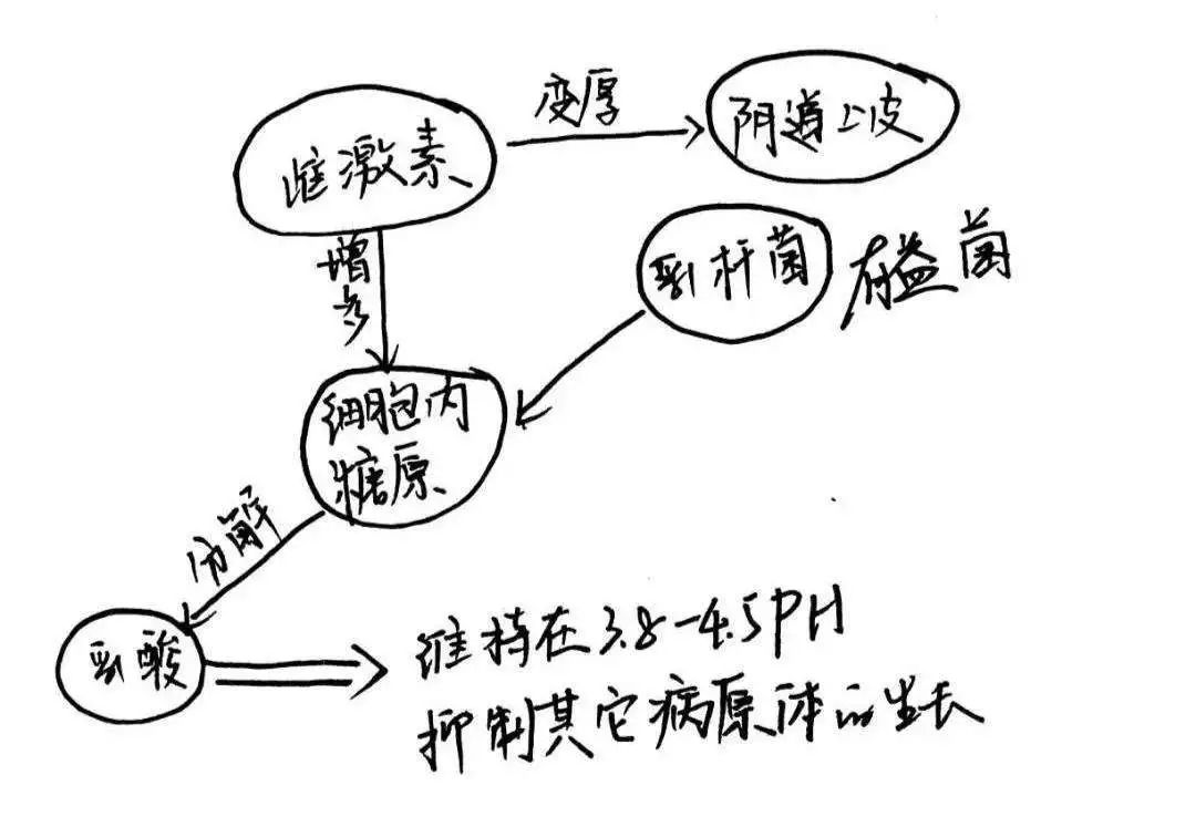 女性如何远离“难言之隐”？