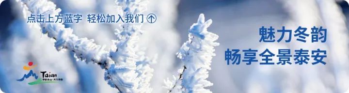 泰山世界古典汽车博览馆老爷车,泰山汽车博物馆开放时间表