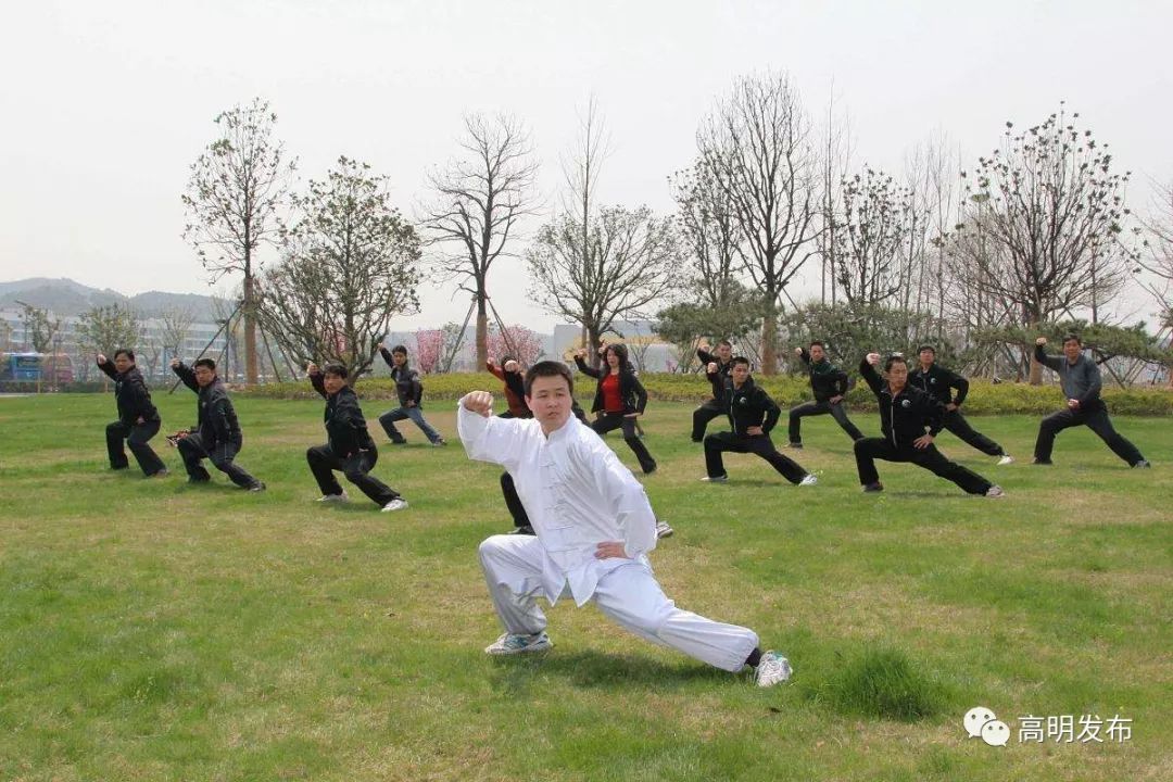 送250张票！世界级赛事将在高明上演，20多个国家和地区参赛