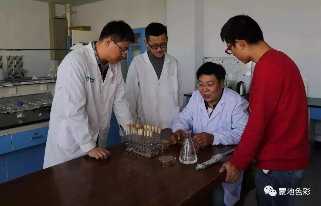 骆驼研究专家吉日木图