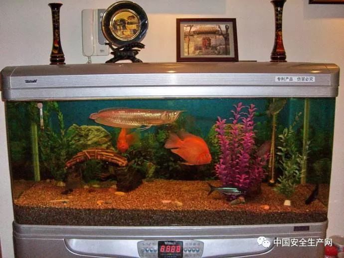 北京｜一个为了养鱼安装的燃气热水器，捂死了两个邻居