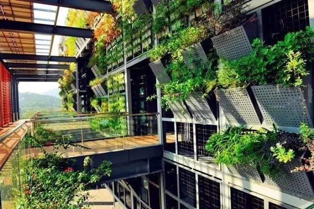 龙岗第一高楼最新消息,龙岗第一城