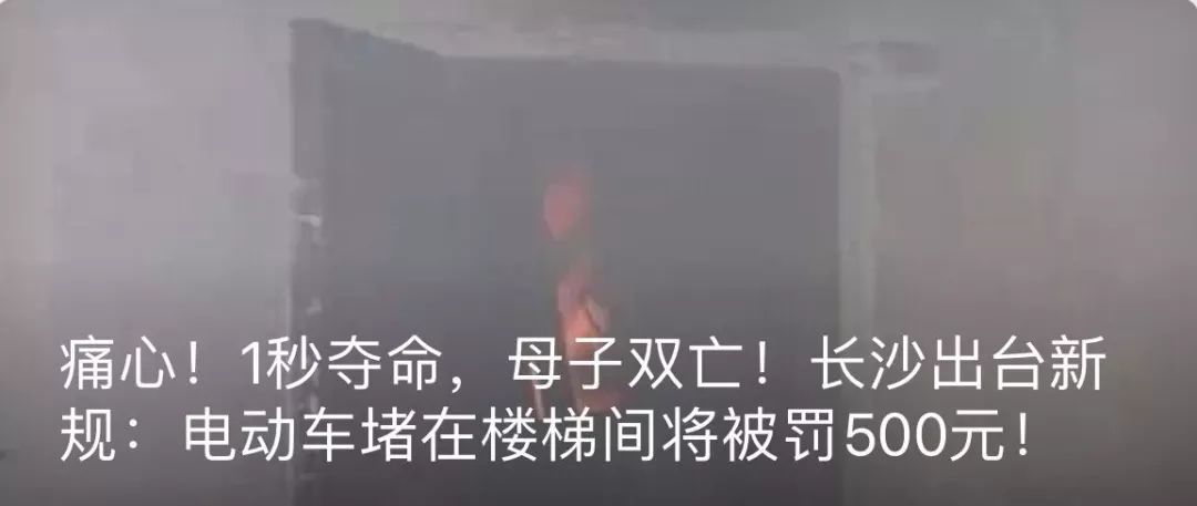 长沙215路车一司机上路七个月，驾照竟是*考代**？乘客：一车人的生命安全呢？