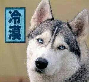 刷单骗局套路大揭秘,刷单骗局出现新套路