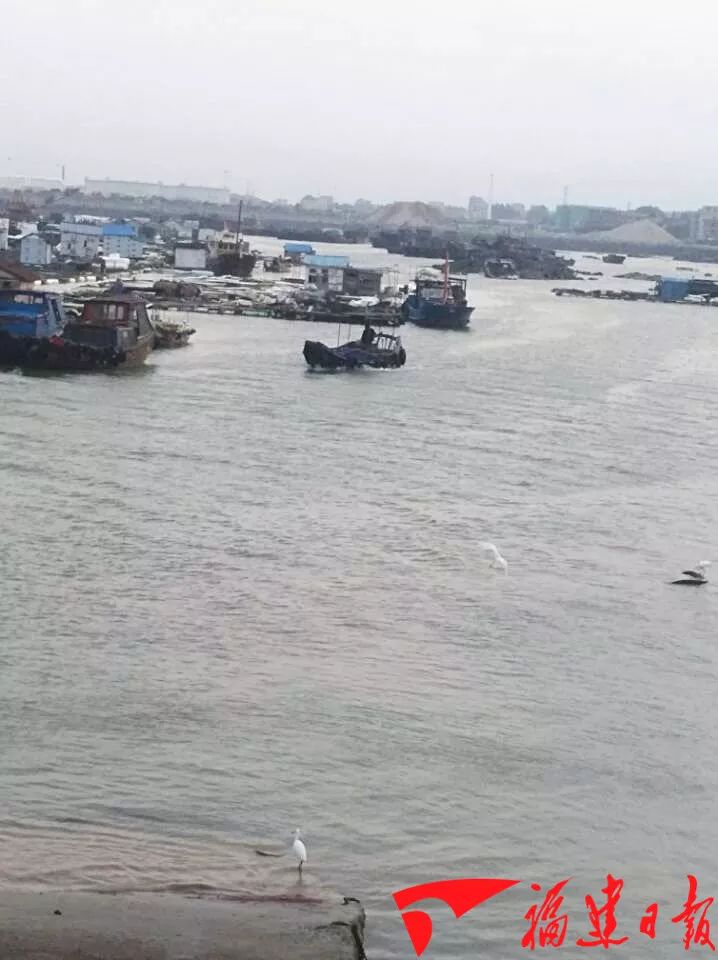 泉港碳九泄漏,泉港泄漏碳九