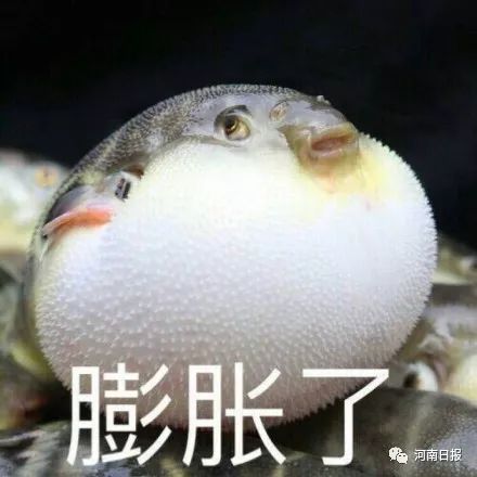 9小时剁手51亿!河南人在天猫上消费能买空“大卫城+国贸360全年”