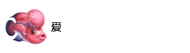 老鼠鱼清理鱼缸粪便效果如何,底砂过滤鱼缸粪便怎么清理