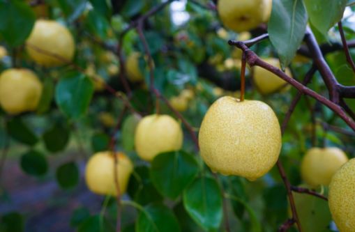 这个双十一值得买台式机吗,这个双十一值得买电脑吗