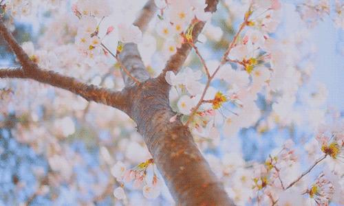 盲测14天揭密|年轻肌特训营收关，那瓶好评如潮的精华水究竟是谁？