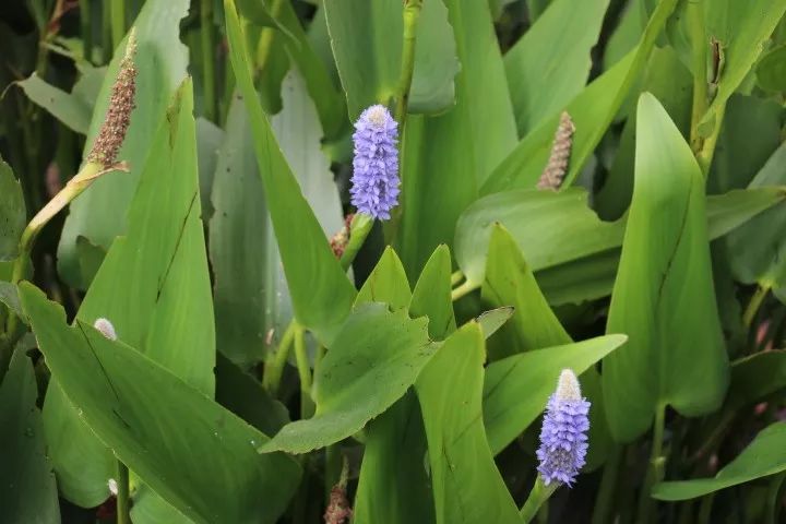 黔南3天旅游攻略,黔南荔波旅游攻略