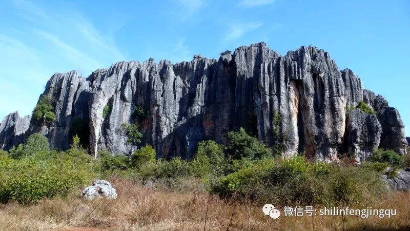 石林是喀斯特地貌的精华吗,云南石林喀斯特地貌特征