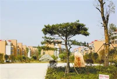 中华第一县濮山淮水,濮山淮水古城全景