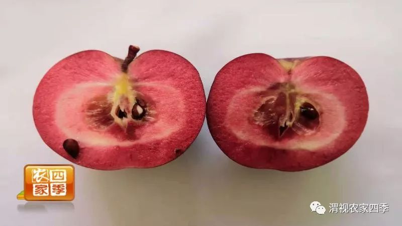 小罗带你逛超市,小罗带你走进水果基地