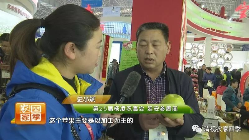 小罗带你逛深圳,小罗带你逛宾川