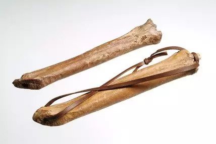 大猪蹄子好还是小猪蹄好,大猪蹄子对比