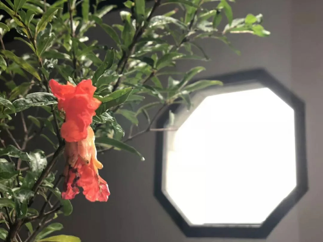 教育的经典对联大全集锦,最好的家教都写在这25副对联里