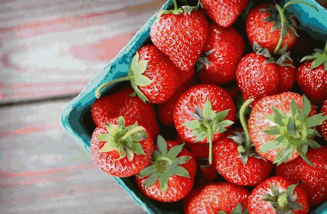 大连摘草莓一日游,大连摘草莓适合去的地方