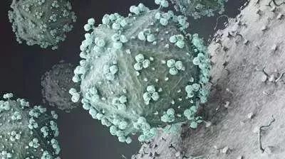 男子被查梅毒后续,一般男性得了梅毒几率有多大