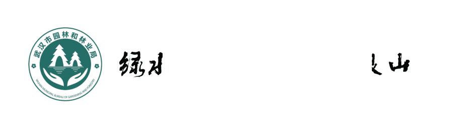 园林大讲堂｜清溪川：韩国人最引以为傲的生态改造项目