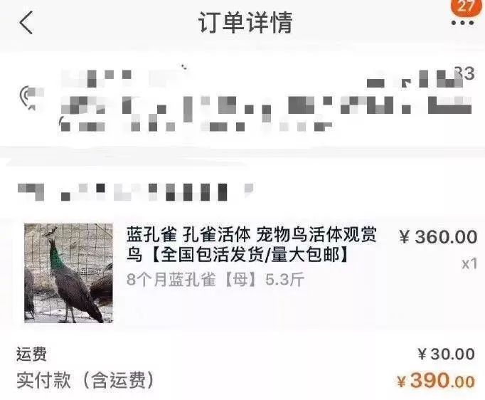 那一夜他喝多了，下单了一只小香猪、一只母孔雀、一条娃娃鱼，醒来后……