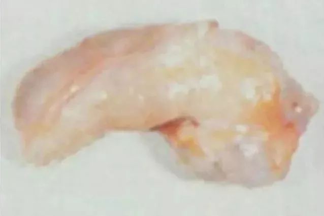 马匹解剖学视频教程,马匹解剖学基础特征