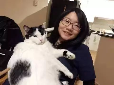 成为兽医的10个秘密,想成为兽医的第一步是什么