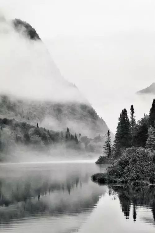 诗词｜中国水平最高的20首诗词，值得一读再读！