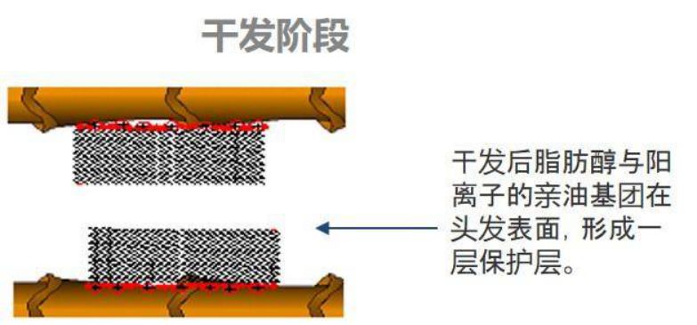 宝洁和联合利华产品对比,宝洁联合利华国货
