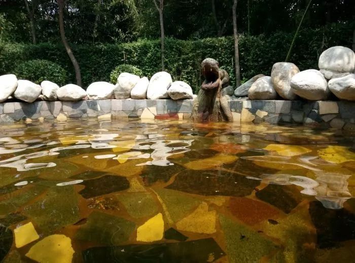 西安周边冬季温泉推荐,西安附近值得泡的温泉