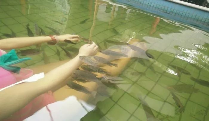 西安周边冬季温泉推荐,西安附近值得泡的温泉