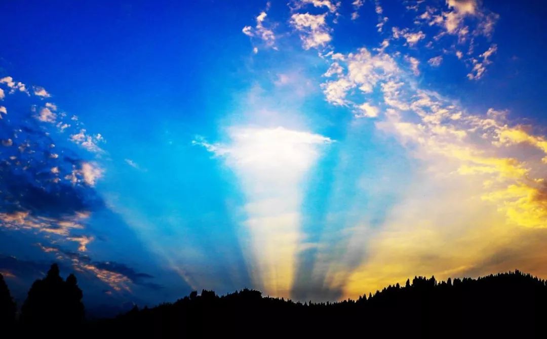 外文推荐｜死亡是什么？