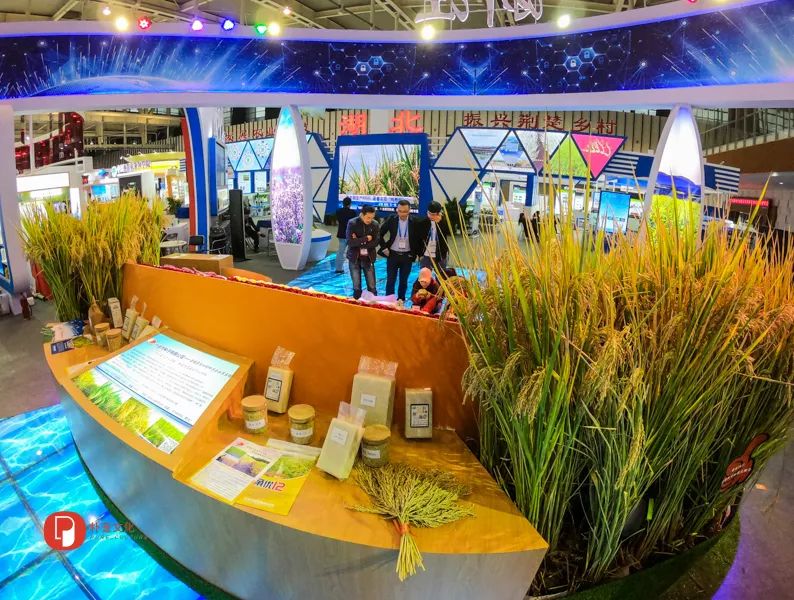 「文明旅游」未来农业应该是啥样？｜快来看全国新农民新技术创业创新博览会