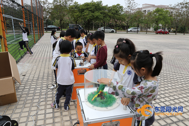 东莞市儿童小型水上乐园,儿童水上乐园广东东莞