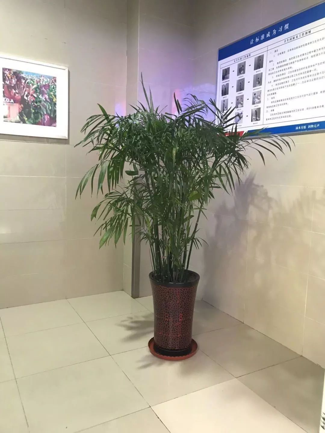 方便来聊聊火车上“方便”那点儿事么？