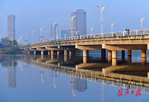 东湖水杉林武汉最美的秋色,航拍武汉风景